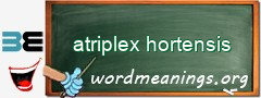 WordMeaning blackboard for atriplex hortensis